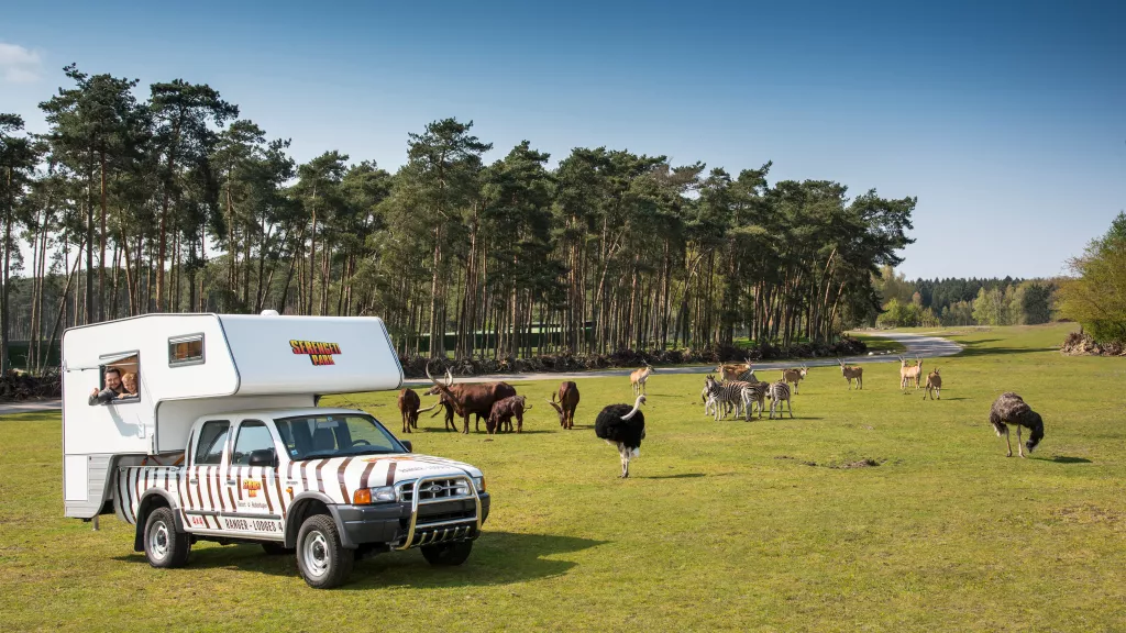 Was Kostet Die übernachtungim Serengeti Park