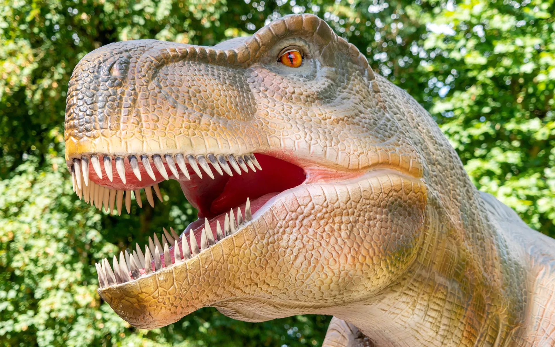 Jurassic-Safari
