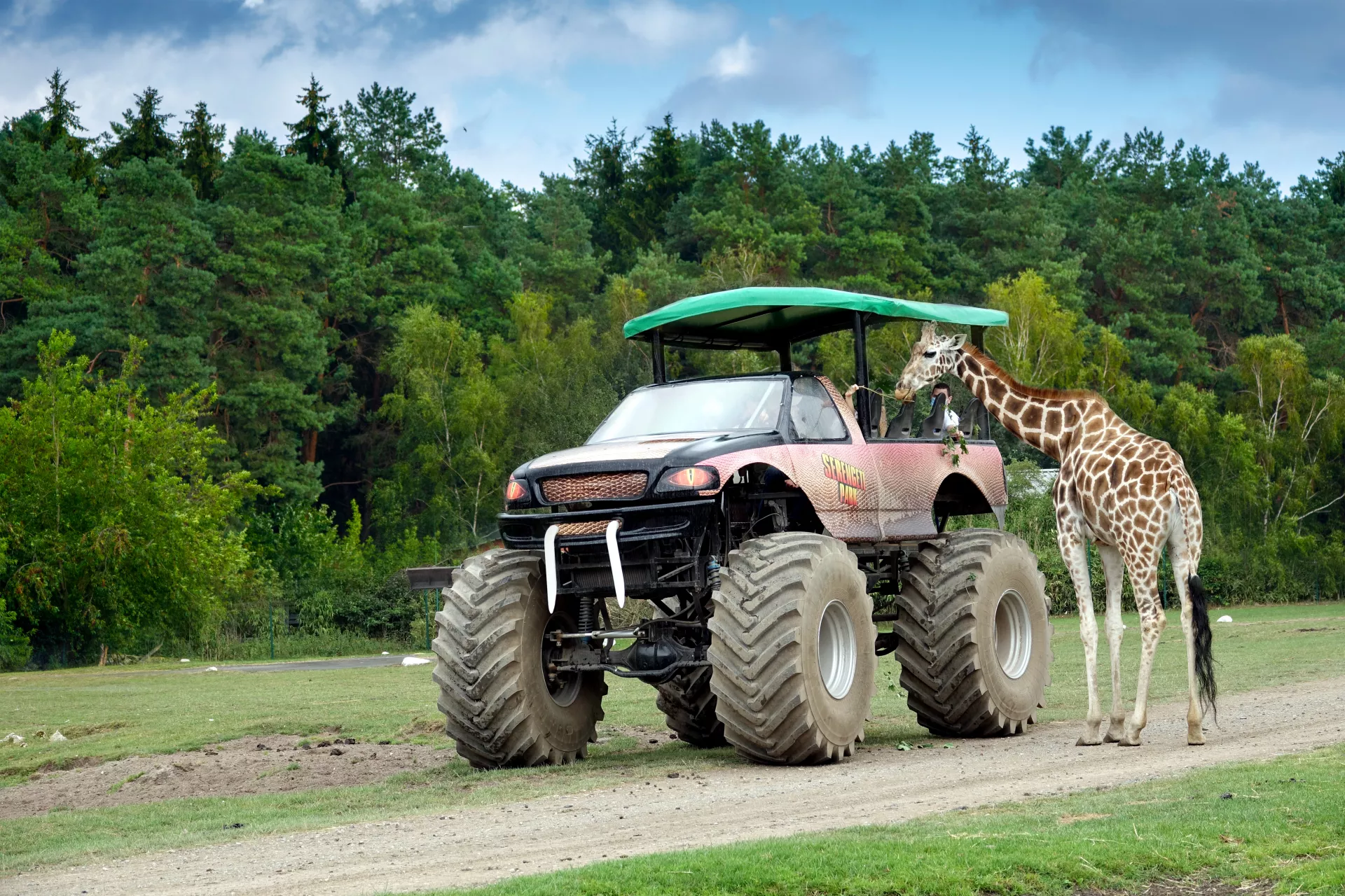 VIP-Big-Foot-Safari