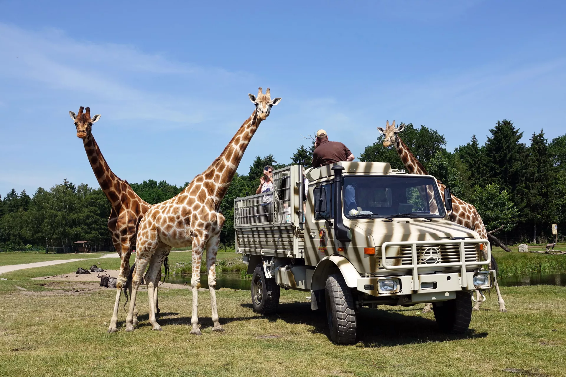 Unimog mit Giraffe