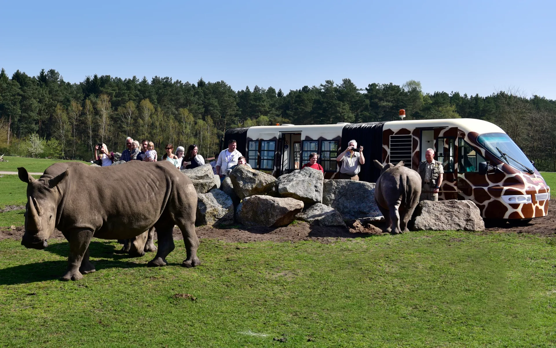 Safari-Express
