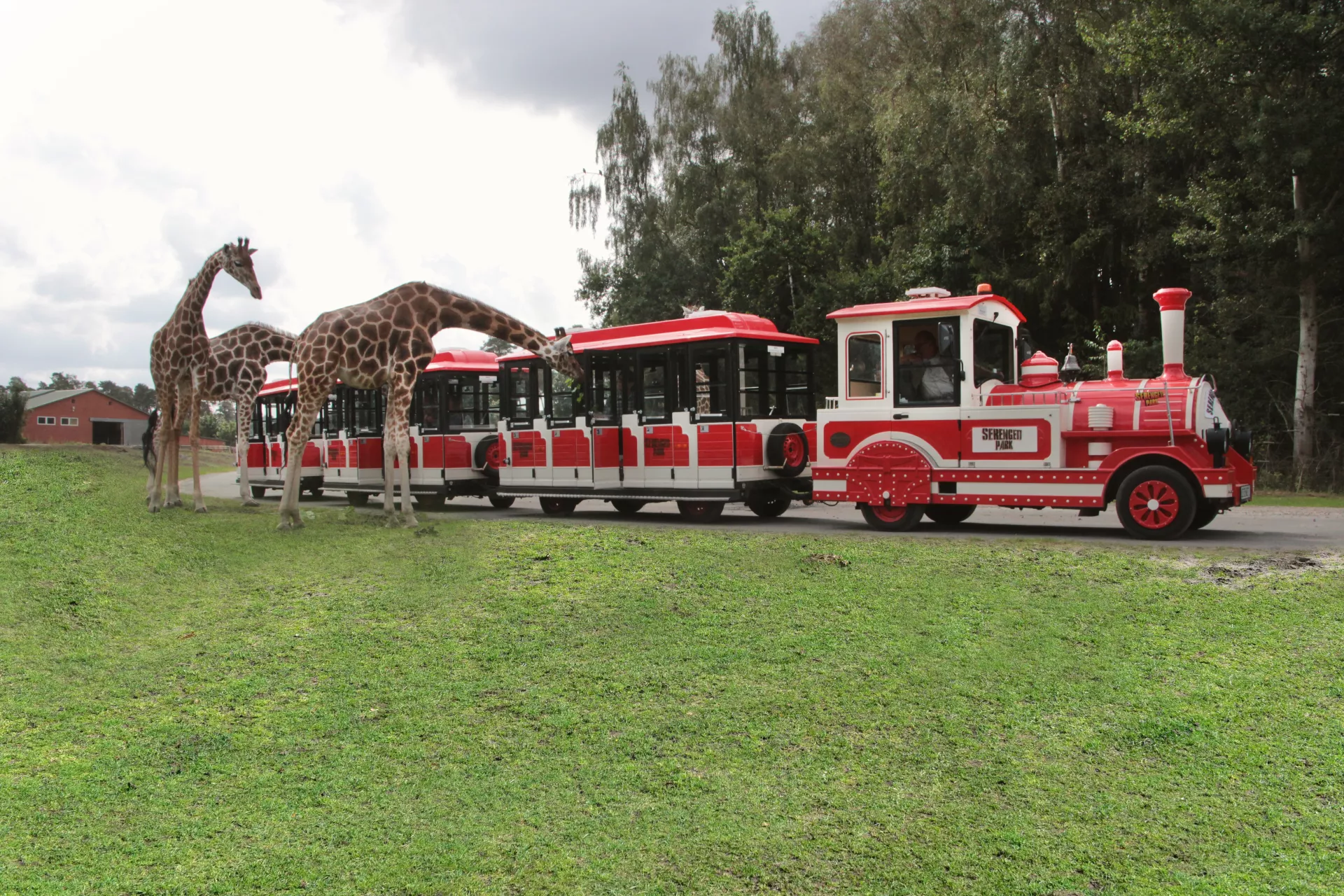 Big-Five-Express