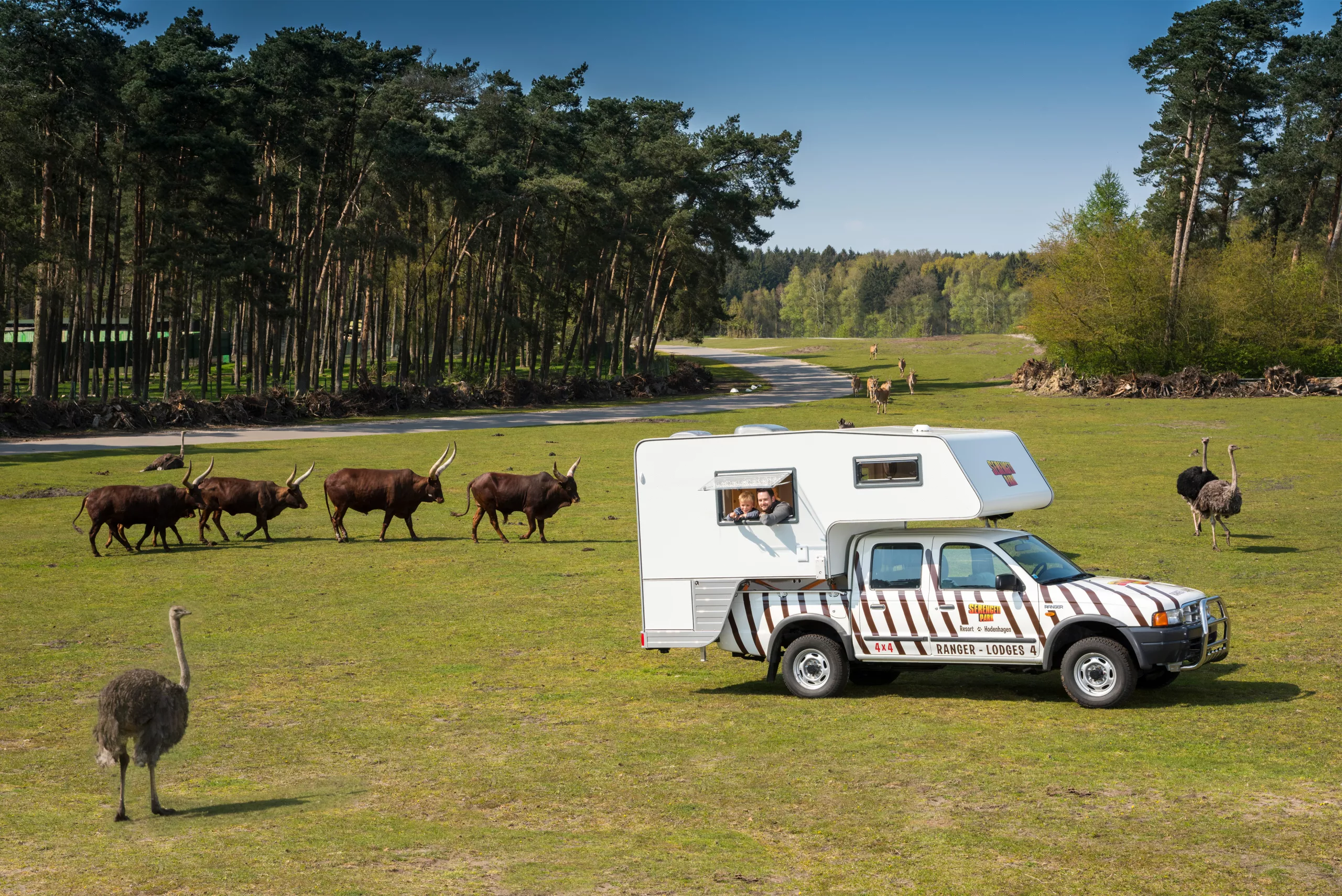 Serengeti-Park-Ranger-Lodges(3).jpg