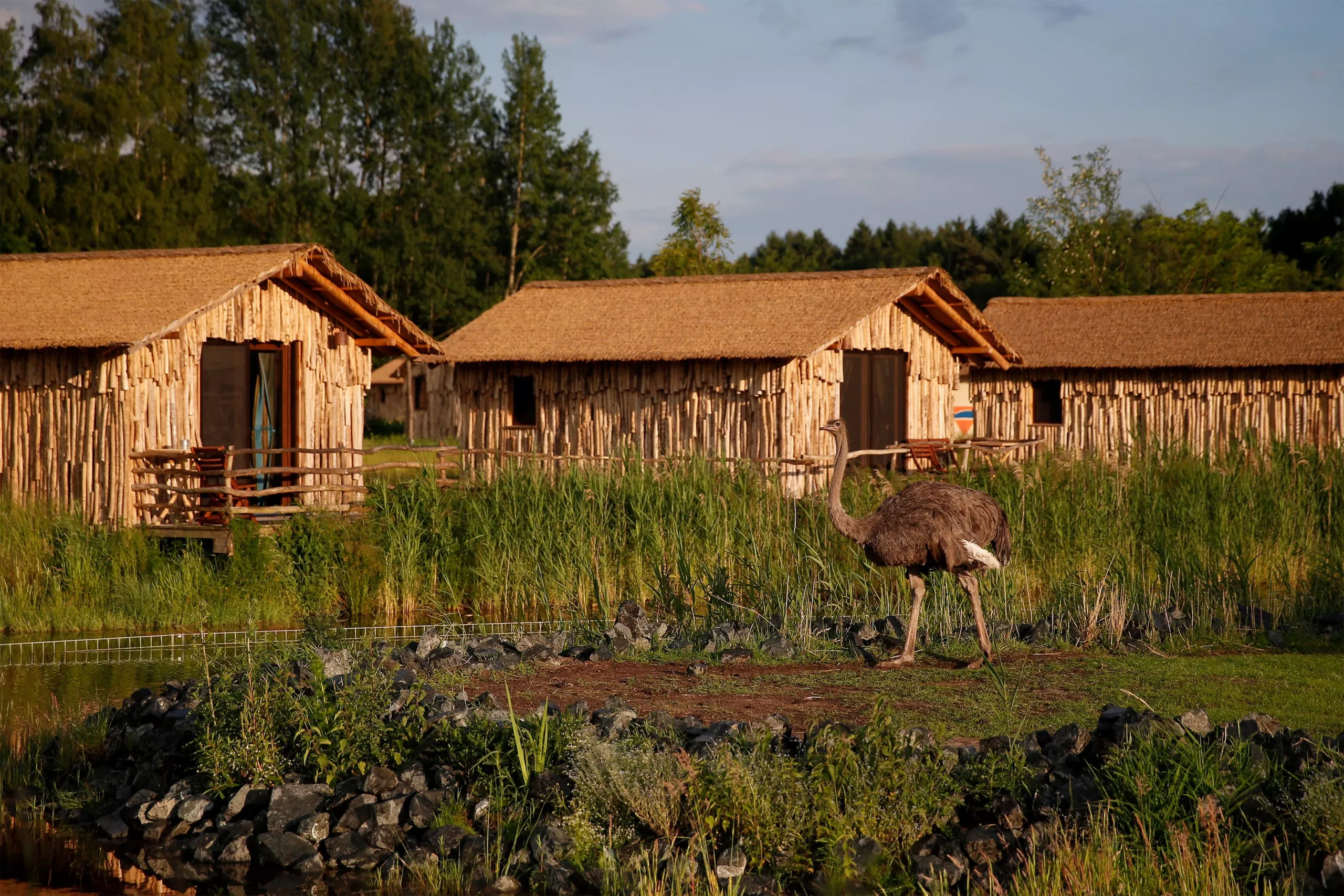 Serengeti-Park-Masai-Mara-Lodges(6).jpg