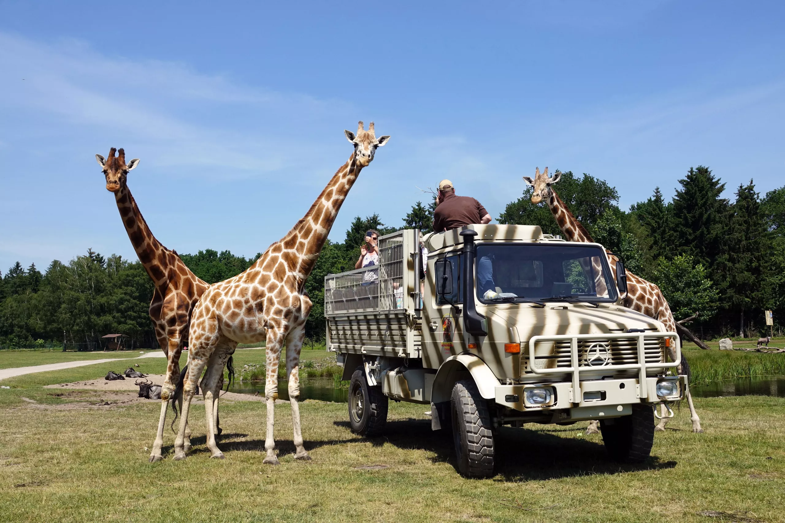 Unimog-mit-Giraffe-NEU.jpg
