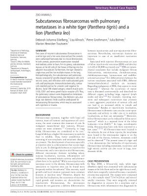 Subcutaneous fibrosarcomas Subcutaneous fibrosarcomas