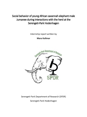 InternshipReport_Mara_Kollmar InternshipReport_Mara_Kollmar