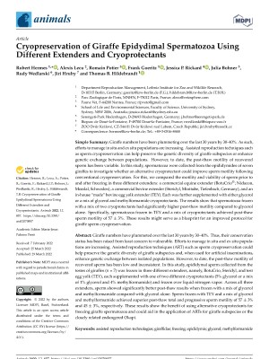 Cryopreservation of Giraffe Epidydimal Spermatozoa Using Different Extenders and Cryoprotectants