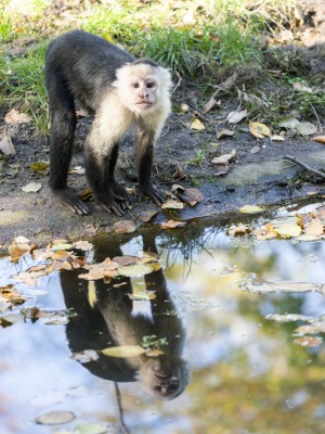 InternshipPresentation_Franziska_Chowanietz InternshipPresentation_Franziska_Chowanietz