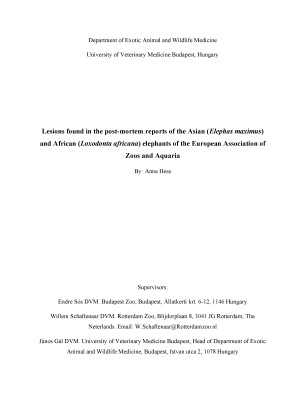 Anne-Hess-Elephant-Report Anne-Hess-Elephant-Report