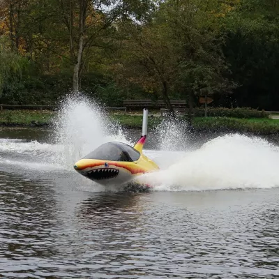 Shark Attack