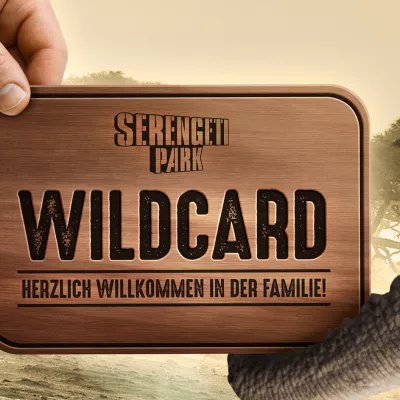 Wildcard