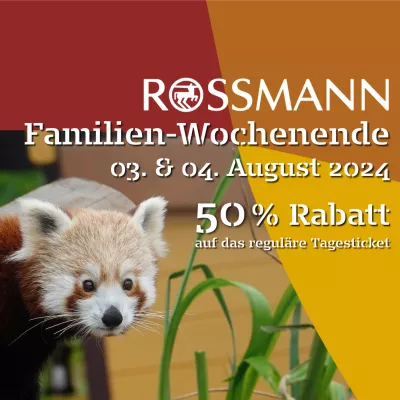 Rossmann Event